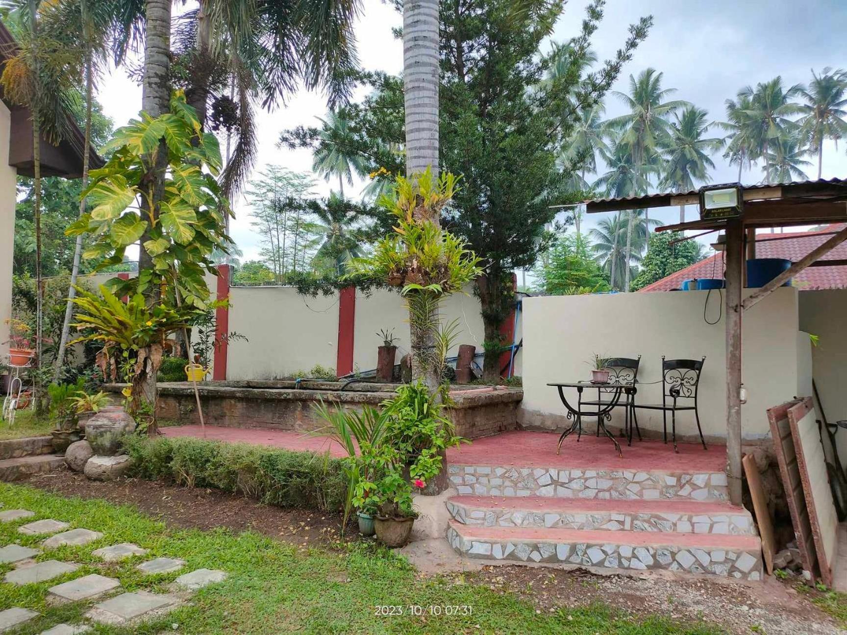 Valencia  Belfort House B&B מראה חיצוני תמונה